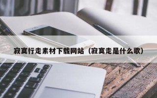 武汉寂寞行走素材下载网站（寂寞走是什么歌）